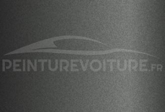 Code peinture Hyundai DS Willow Gray