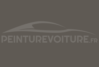 Code peinture Hyundai DV Sienna Brown Mat (interieur)