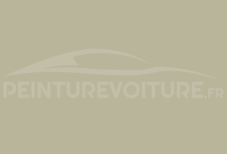 Code peinture Mitsubishi DZ Light Beige