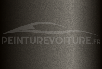 Code peinture Hyundai DZ Luxury Grey