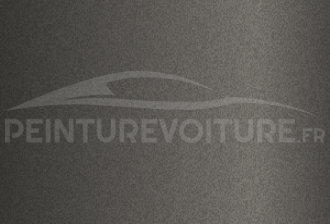 Code peinture Renault E081 Grey Matt