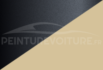 Code peinture Suzuki E5J 2je + Xvg