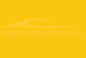 Code peinture Peugeot EAE Jaune Shell