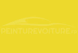 Code peinture Peugeot EAL Jaune