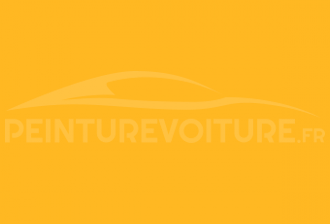 Code peinture Peugeot EAU P3AU Jaune Genet