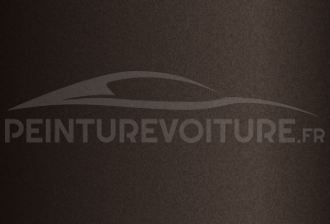 Code peinture Smart EBC Orient Brown