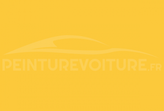 Code peinture Peugeot EBT Jaune Vitis / Iveco