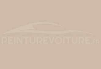 Code peinture Peugeot ECH Beige Messager
