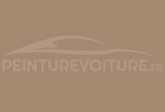 Code peinture Citroen ECL Beige Gestetner
