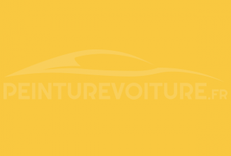 Code peinture Peugeot ECQ Jaune Publicitaire