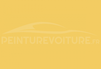 Code peinture Peugeot ECW Jaune Entremont