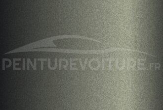 Code peinture Samsung Motors EEP Grey