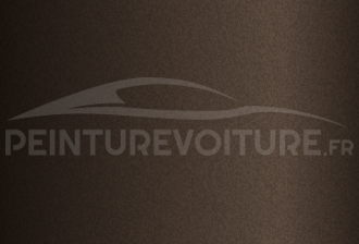 Code peinture Peugeot EJP Brown Squirell