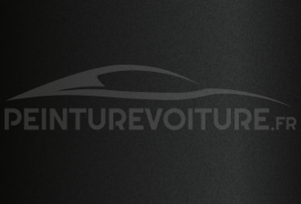 Code peinture Peugeot ELJ Metallic Black