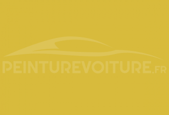 Code peinture Renault ENW Jaune Eclair