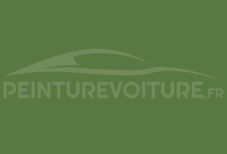 Code peinture Peugeot ERN P0RN Vert Ptt Irlande