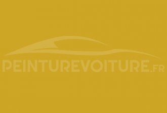 Code peinture Nissan ES2 Singapore Yellow
