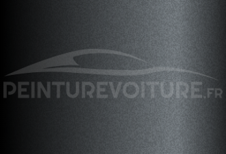 Code peinture Peugeot EWW Ice Silver