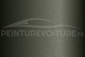 Code peinture Hyundai EX Olive Green