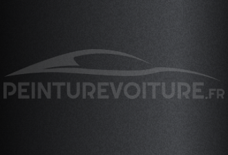 Code peinture Peugeot EXC Noir Kazan