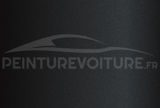 Code peinture Toyota EYJ Corsica Anthracite (gris Aster)