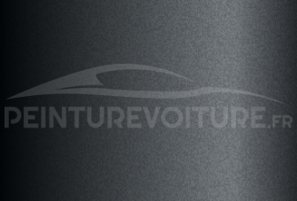 Code peinture Citroen EYZ Gris Titanium