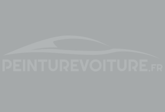 Code peinture Peugeot EZM Gris Clair