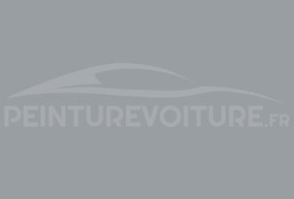 Code peinture Citroen EZN Gris