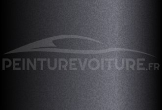 Code peinture Ford XSC2848 Astor Grey