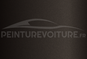 Code peinture Seat F8V Magnetic Brown