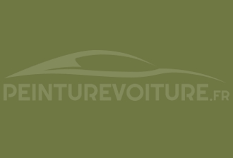 Code peinture Renault F91 Vert Rainette
