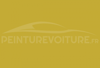 Code peinture Citroen FAJ Jaune
