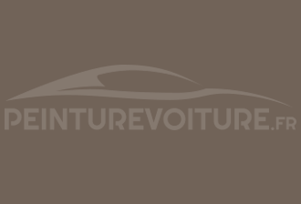 Code peinture Citroen FDX Beige