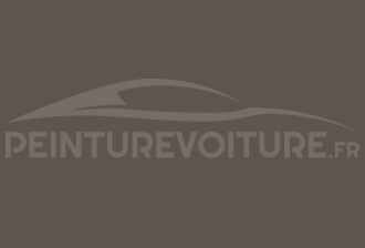 Code peinture Hyundai FG Walnut/grey (interieur)