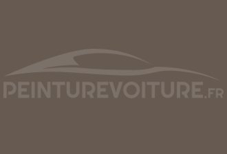 Code peinture Hyundai FK Lime Beige (interieur)