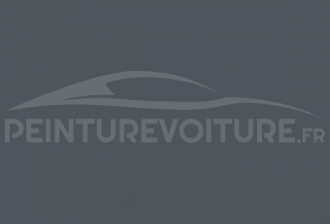 Code peinture Peugeot FTV Gris