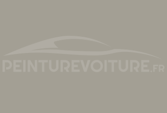 Code peinture Citroen FVA Gris Pare-chocs