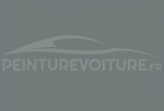 Code peinture Peugeot FZH Gris Tempete