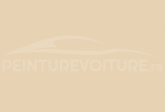 Code peinture Renault G11 Beige