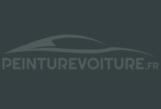 Code peinture Renault G60 Gris Fonce