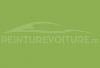 Code peinture Skoda G6D Kiwigreen