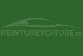 Code peinture Renault G95 Vert