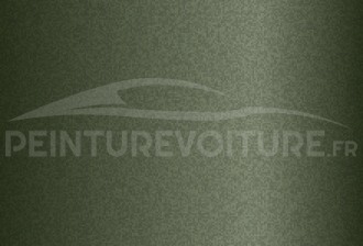 Code peinture Ssangyong GAA Pale Green