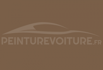 Code peinture Citroen GAH Beige - Pare Chocs