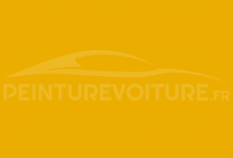Code peinture Chevrolet GCO Rally Yellow