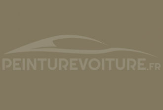 Code peinture Ford GCS Olivgrau