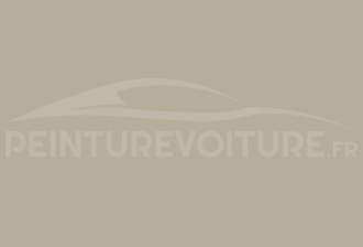 Code peinture Ford GKS Stone Grey