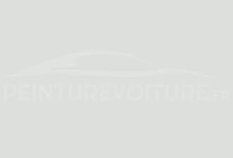 Code peinture Opel GOW Schneeweiss