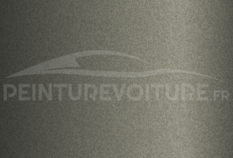 Code peinture Hyundai GP Natural Khaki