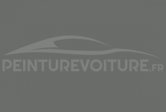 Code peinture Ford GQS Mouse Grey